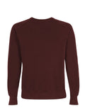 Organic Cotton Raglan Sweatshirt: Earth Positive