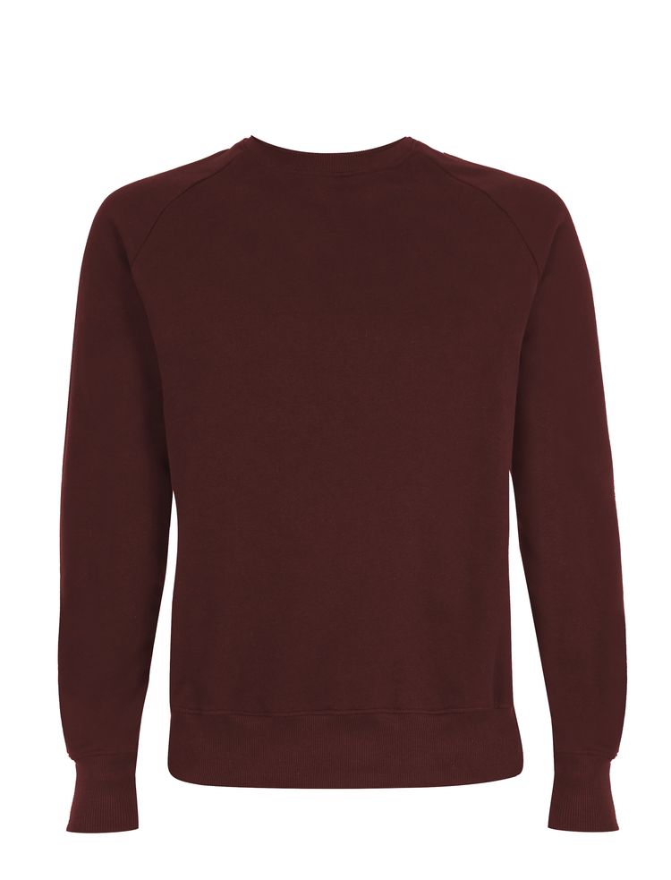 Organic Cotton Raglan Sweatshirt: Earth Positive