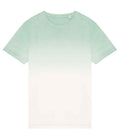 Organic Dip Dye T-shirt: Unisex